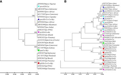 Unraveling the Complexity of Imported Malaria Infections by Amplicon Deep Sequencing